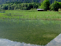 Haldensee - Nahaufnahme