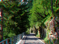 Vivione - Westrampe Mitte Blick bergauf 3D