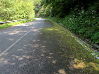 Bidasoa - Nebenstraße Moos