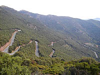 Elba - Nisporto Weg Serpentinen